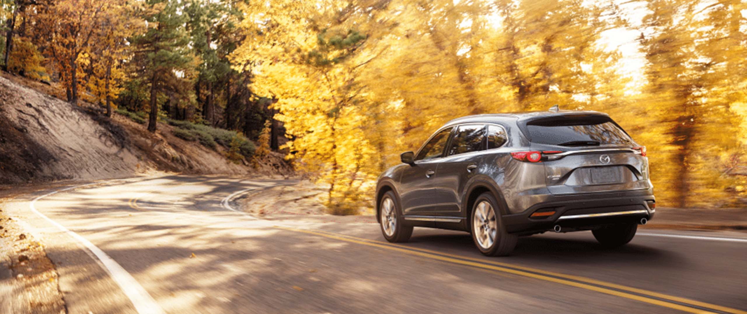 Leasing vs. Buying a Car