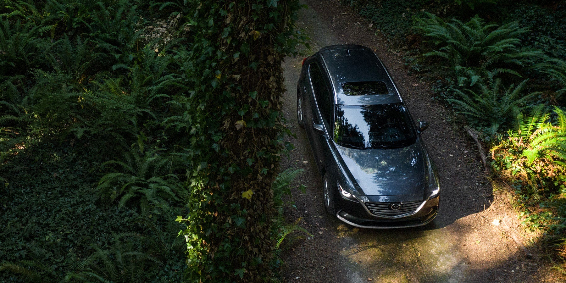 An overhead shot of a dark gray Mazda SUV with its headlights on, driving on a dirt road through a dense forest.