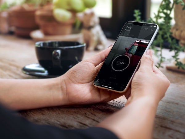 Mazda of New Bern in New Bern NC